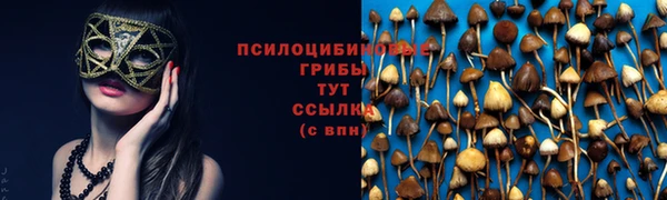 a pvp Богородицк
