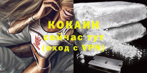 метадон Богданович