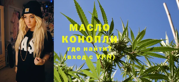 метадон Богданович
