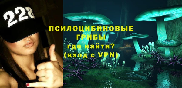 метадон Богданович