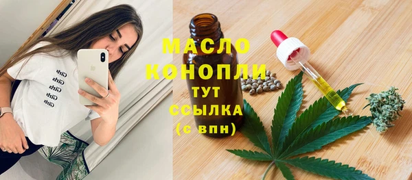 spice Богородск