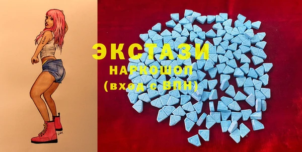 spice Богородск
