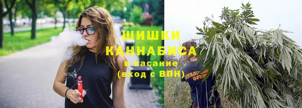 метадон Богданович