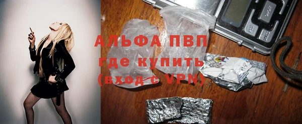 spice Богородск